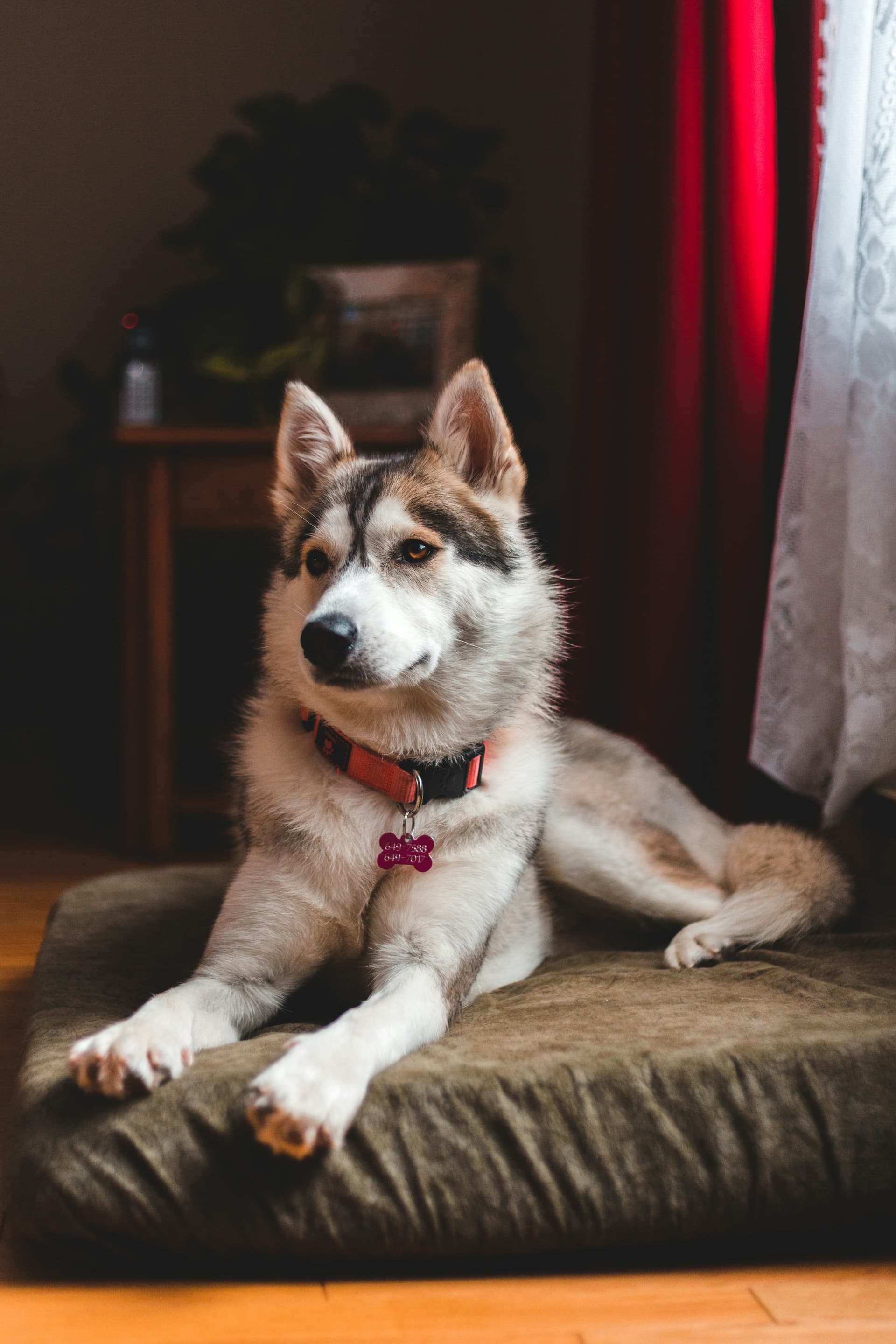 Git hook 그리고 .Husky